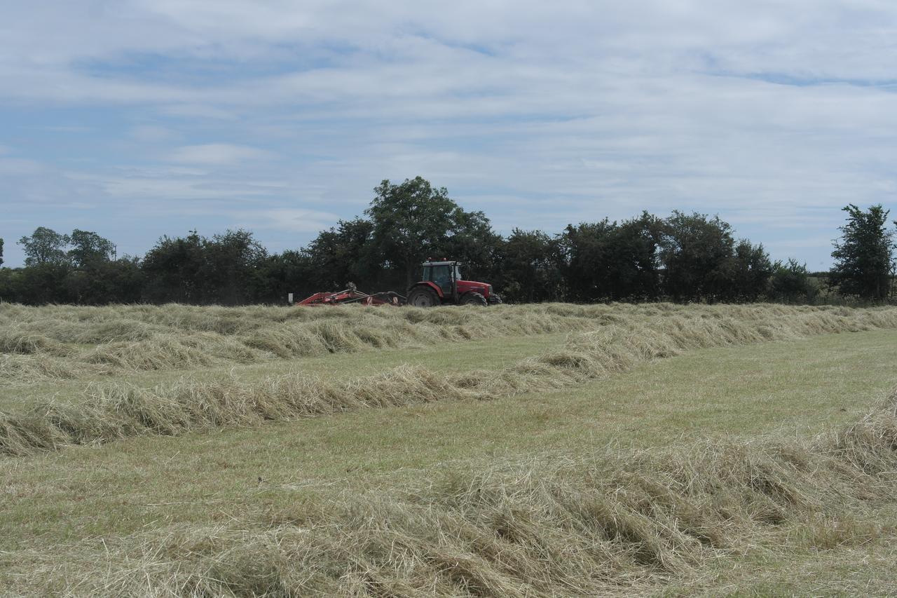 Handley Barn Silverstone Exteriör bild